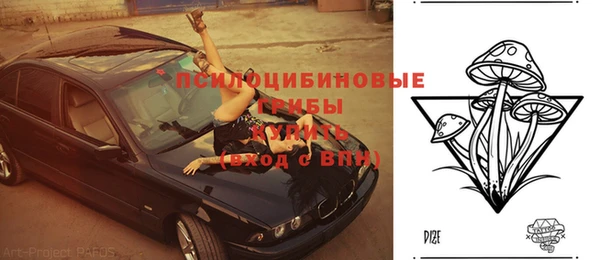 трава Алзамай