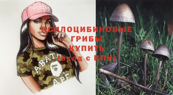 СК Алексеевка