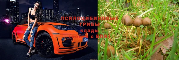 трава Алзамай